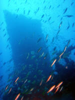 Koh Chang tech diving at Scuba Evolution