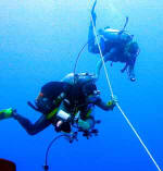 Mark Ellyatt on 270meter dive. click for hi-res image