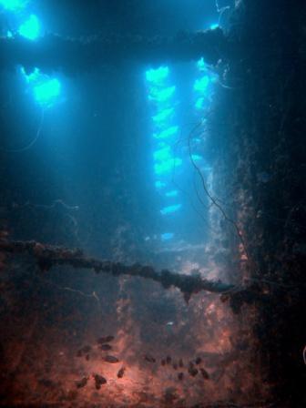 light shinning through into the hardeep shipwreck - photo by Charlie Frost