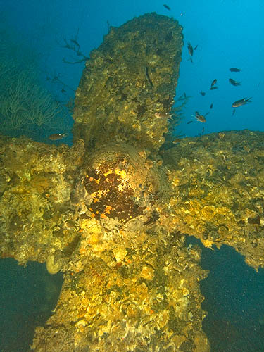 SeaCrest Inverted in the sea bed - diver photo of a propellor